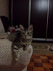 720 X 960 157.9 Kb 960 X 720 203.0 Kb 960 X 720 223.5 Kb -   !