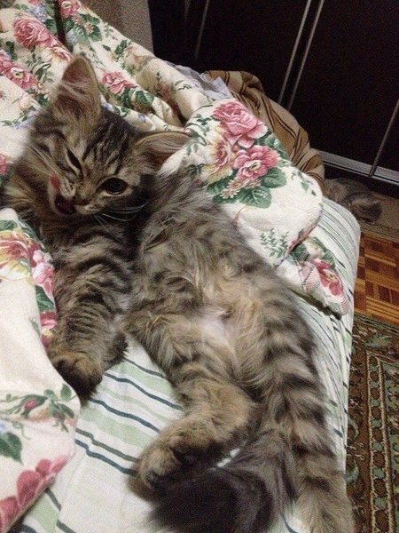 720 X 960 202.8 Kb -   !