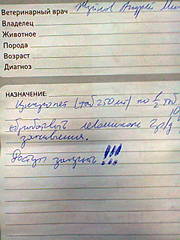 480 X 640 55.4 Kb  ,  