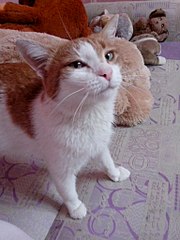 768 X 1024 116.6 Kb     !