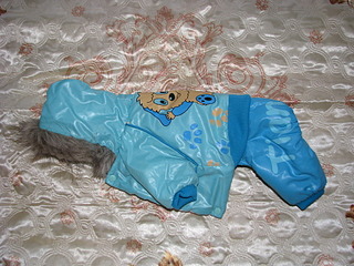 1920 X 1440 890.9 Kb 1920 X 1440 816.2 Kb     