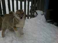 1280 X 960 142.5 Kb   (  )