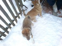 1280 X 960 127.3 Kb 1280 X 960 109.2 Kb 1280 X 960 142.5 Kb   (  )