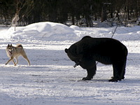 1920 X 1440 662.3 Kb 1280 X 960 127.3 Kb 1280 X 960 109.2 Kb 1280 X 960 142.5 Kb   (  )