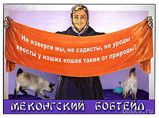 640 X 477 82.9 Kb Меконгский бобтейл Тея и ее друзья
