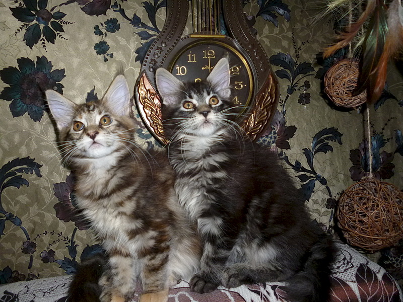 1920 X 1440 839.7 Kb -  