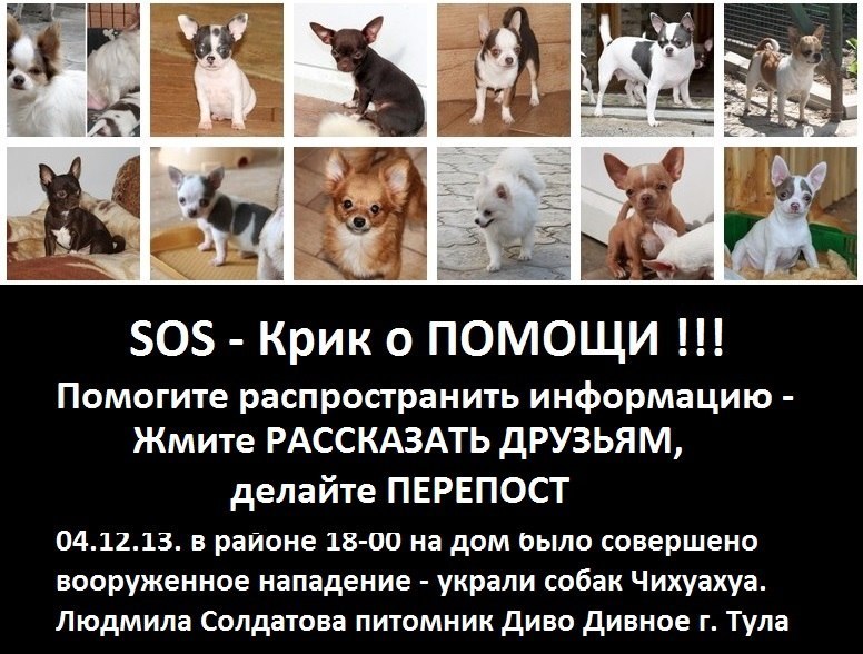 776 x 588 SOS!         !