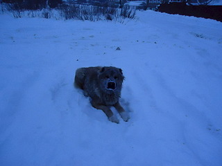 1920 X 1440 605.3 Kb 1920 X 1440 575.1 Kb   