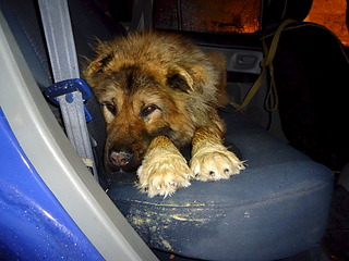 1920 X 1440 793.5 Kb   