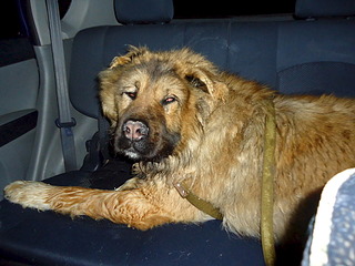 1920 X 1440 761.7 Kb 1920 X 1440 793.5 Kb   