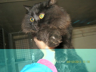 1920 X 1440 650.8 Kb 1920 X 2560 761.0 Kb    