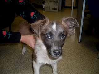 1920 X 1440 542.0 Kb 1920 X 1440 602.1 Kb   