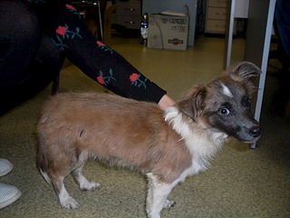 1920 X 1440 606.1 Kb   