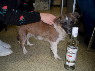 1920 X 1440 676.7 Kb 1920 X 1440 606.1 Kb   