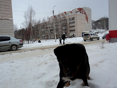 1920 X 1440 468.1 Kb  ?