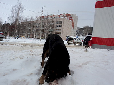 1920 X 1440 515.3 Kb  ?