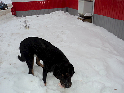 1920 X 1440 114.1 Kb 1920 X 1440 515.3 Kb  ?