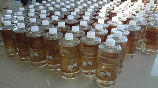 1920 X 1080 501.6 Kb 1920 X 1080 391.3 Kb 1920 X 1080 324.1 Kb кокосовое масло