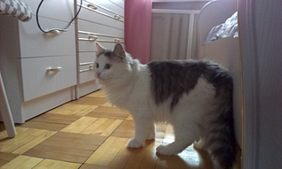 1920 X 1149 979.1 Kb 1920 X 1149 1017.3 Kb 1552 X 2592 175.0 Kb 1920 X 1149 166.0 Kb     ,  