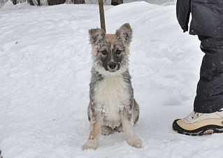 1920 X 1357 213.9 Kb  -    ,   .