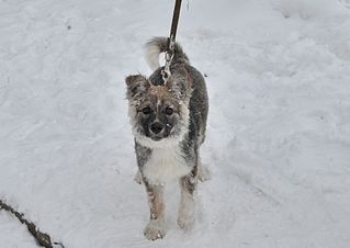 1920 X 1357 170.6 Kb 1920 X 1357 213.9 Kb  -    ,   .