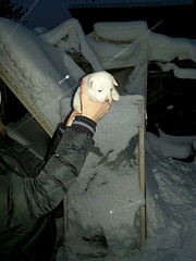 960 X 1280 246.2 Kb 960 X 1280 284.6 Kb 960 X 1280 290.7 Kb     