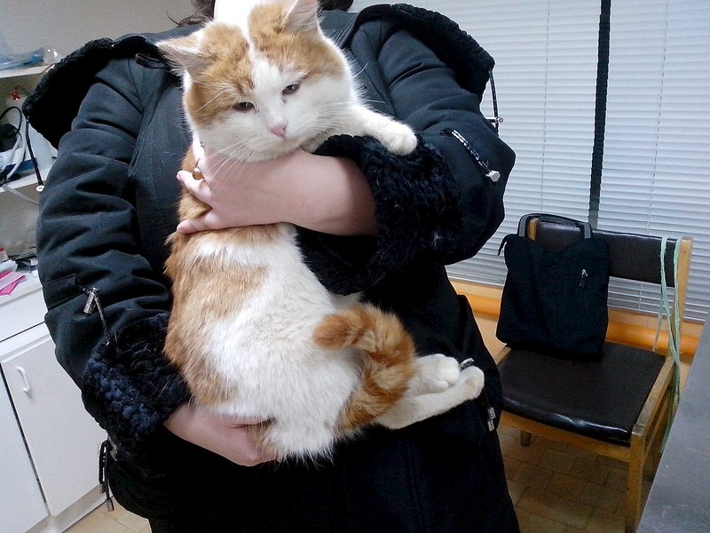 1280 X 960 222.0 Kb  .