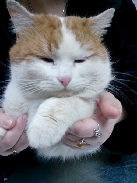 768 X 1024  93.6 Kb 768 X 1024  92.9 Kb 1280 X 960 222.0 Kb  .