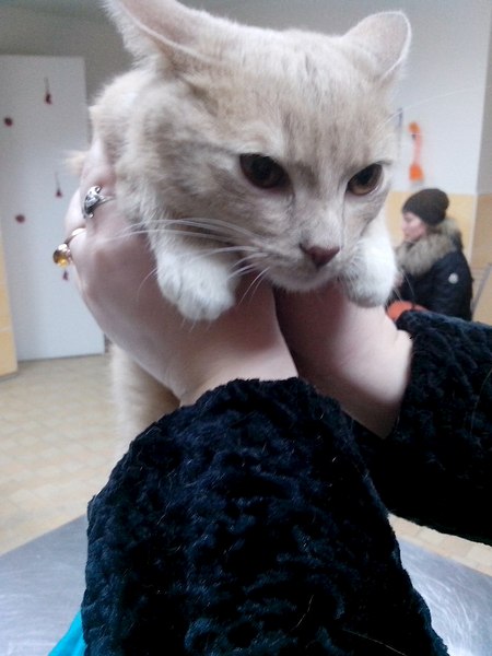 768 X 1024  97.5 Kb  .