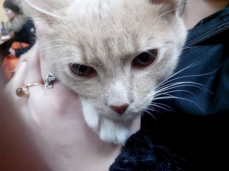 1280 X 960 221.8 Kb 768 X 1024  97.5 Kb  .