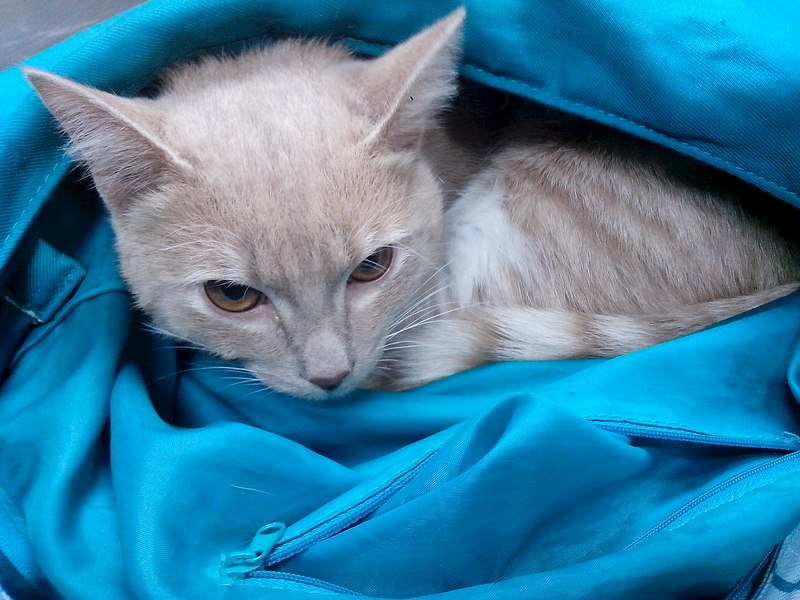 1280 X 960 233.0 Kb 1280 X 960 221.8 Kb 768 X 1024  97.5 Kb  .