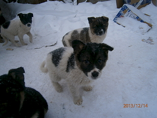 1920 X 1440 139.1 Kb ,       