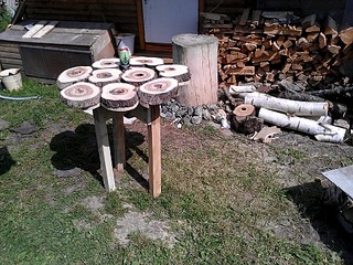 1920 X 1440 515.4 Kb    