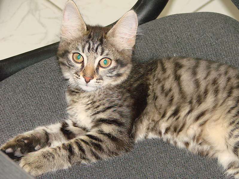 799 x 600 799 x 600 1920 X 1440 265.7 Kb 1920 X 1440 193.0 Kb 799 x 600 -  