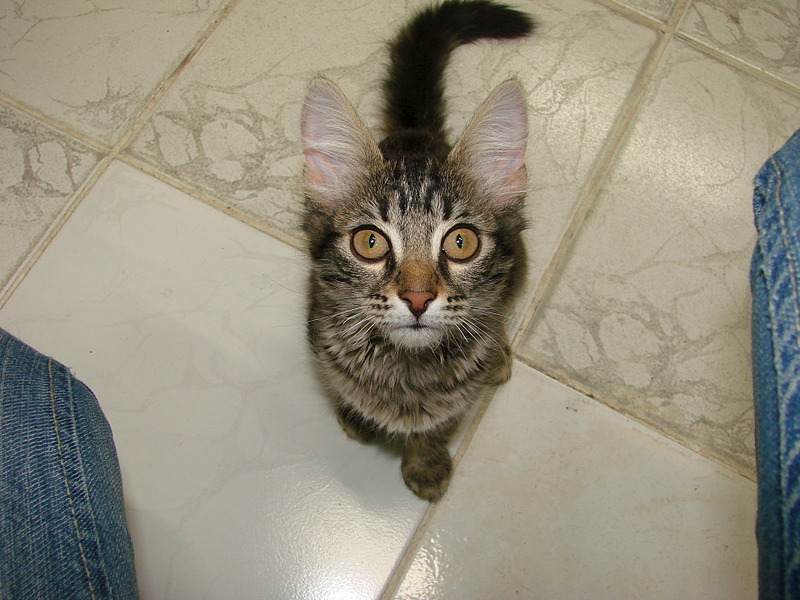 1920 X 1440 193.0 Kb 799 x 600 -  