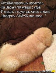537 X 700  75.0 Kb Улыбнемся?