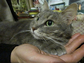 640 X 480 109.5 Kb 640 X 480 107.5 Kb       