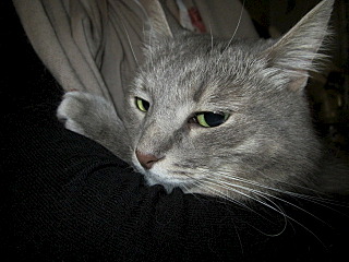 640 X 480 106.3 Kb 640 X 480 109.5 Kb 640 X 480 107.5 Kb       