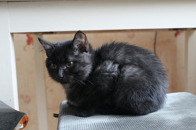 1000 X 667 256.2 Kb ��� �������� �� ����� �������� �������-�������, ����� 2 ���.