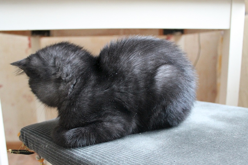 1000 X 667 258.0 Kb 1000 X 667 248.8 Kb 1000 X 667 256.2 Kb ��� �������� �� ����� �������� �������-�������, ����� 2 ���.