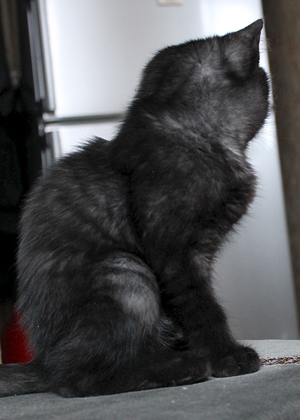 1920 X 2692 221.9 Kb 1000 X 974 369.6 Kb 1000 X 667 258.0 Kb 1000 X 667 248.8 Kb 1000 X 667 256.2 Kb ��� �������� �� ����� �������� �������-�������, ����� 2 ���.