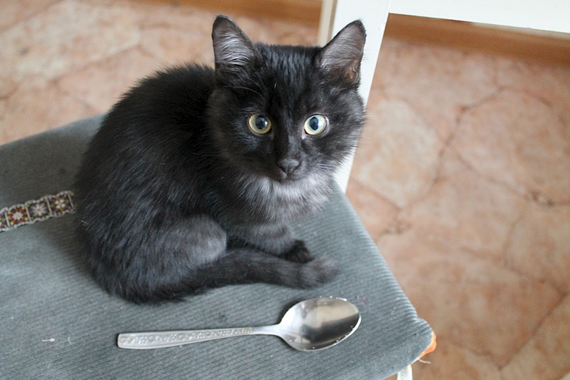 1000 X 667 249.5 Kb ��� �������� �� ����� �������� �������-�������, ����� 2 ���.