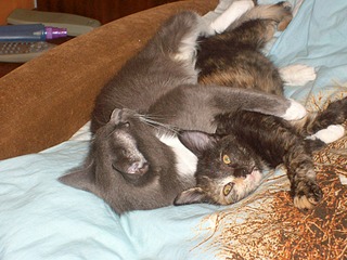 1920 X 1440 697.1 Kb      !