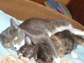 1920 X 1440 753.1 Kb 1920 X 1440 697.1 Kb      !