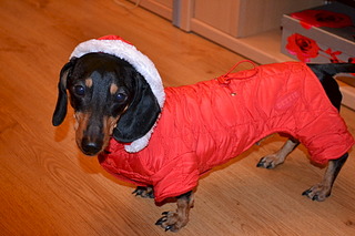 1920 X 1280 529.8 Kb   