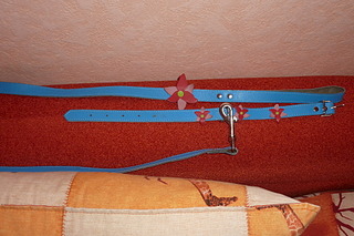 1920 X 1280 852.7 Kb   