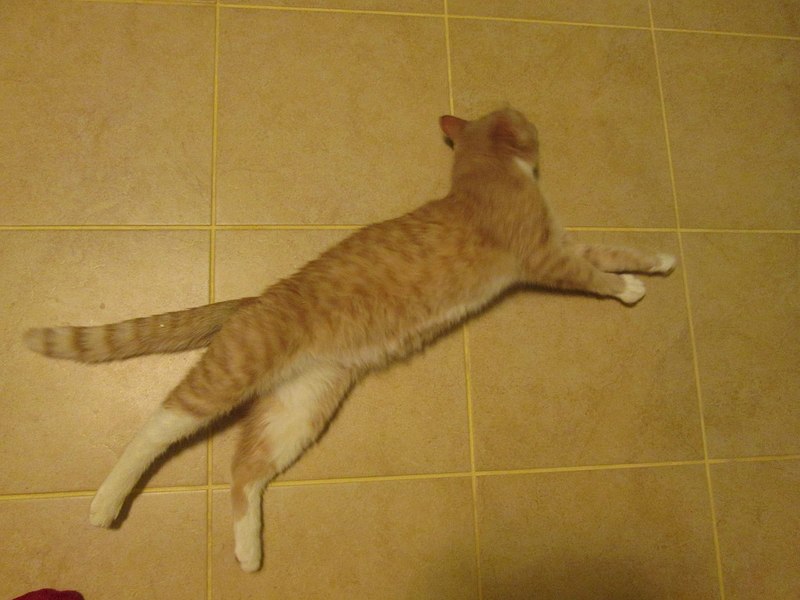 1280 X 960 157.4 Kb 768 X 1024 111.5 Kb  .