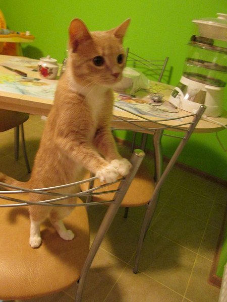 768 X 1024 112.1 Kb 1280 X 960 157.4 Kb 768 X 1024 111.5 Kb  .