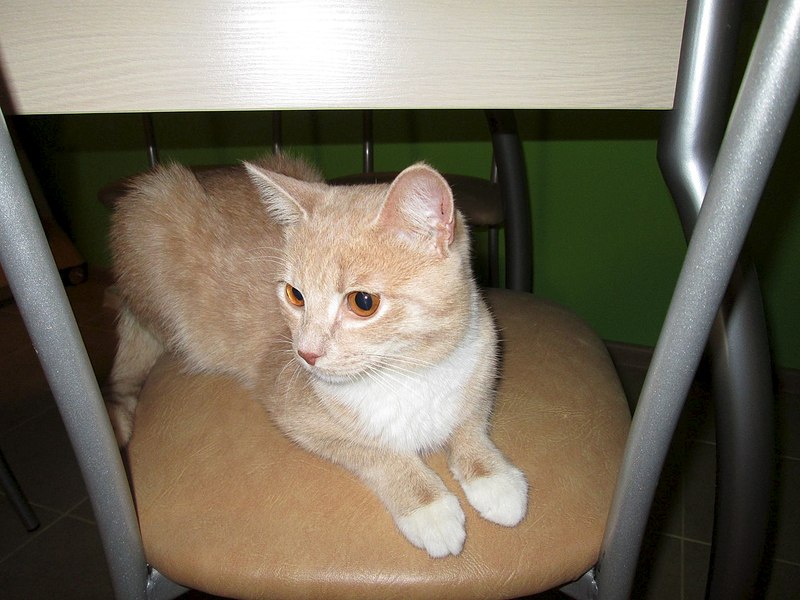 1280 X 960 192.9 Kb 1280 X 960 164.7 Kb 768 X 1024 112.1 Kb 1280 X 960 157.4 Kb 768 X 1024 111.5 Kb  .