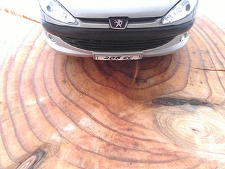 1920 X 1440 449.5 Kb 1920 X 1440 424.1 Kb    